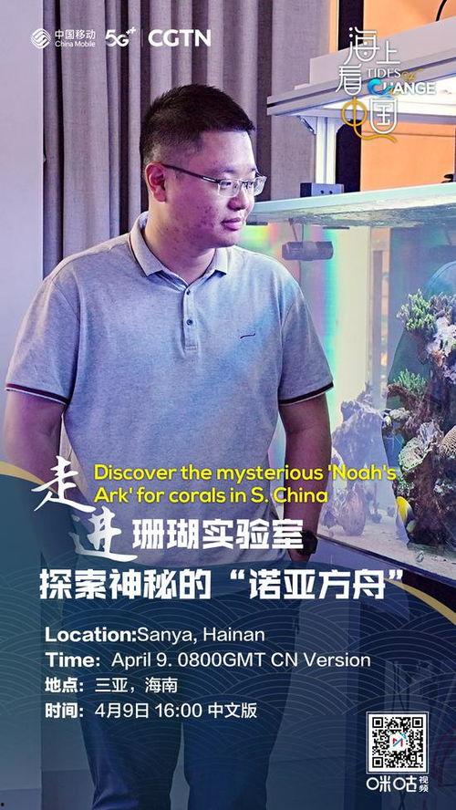 海南直播在线观看